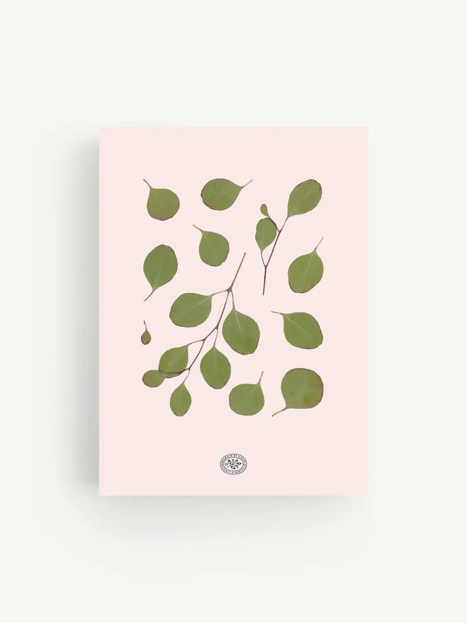 By Charlot Herbier Eucalyptus Rose tableau 21x30 rose