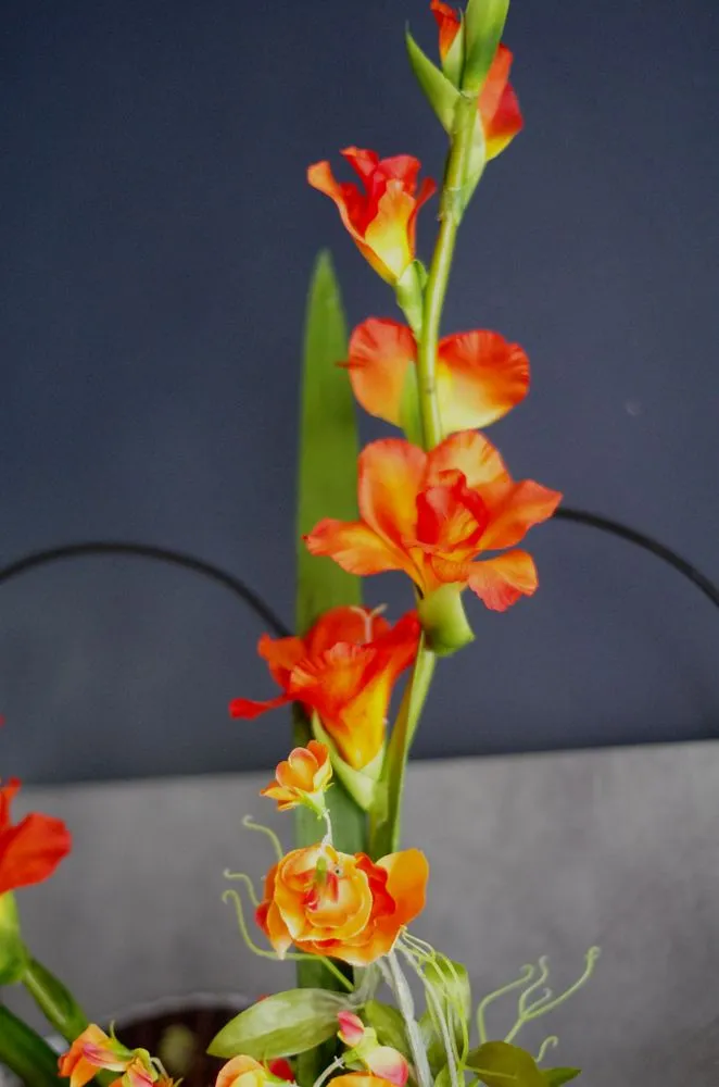 AQUAPHYTE Iris kokedama artificiel orange sans arrosage