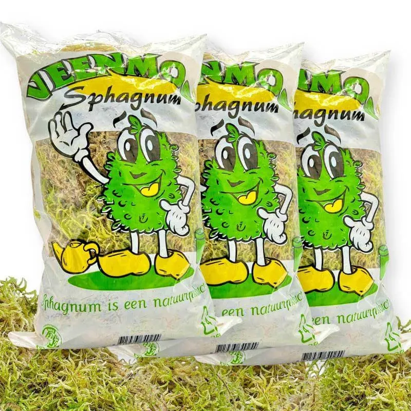 Plant and Stories Plant Addict sphaigne vivante 3 sachets naturel