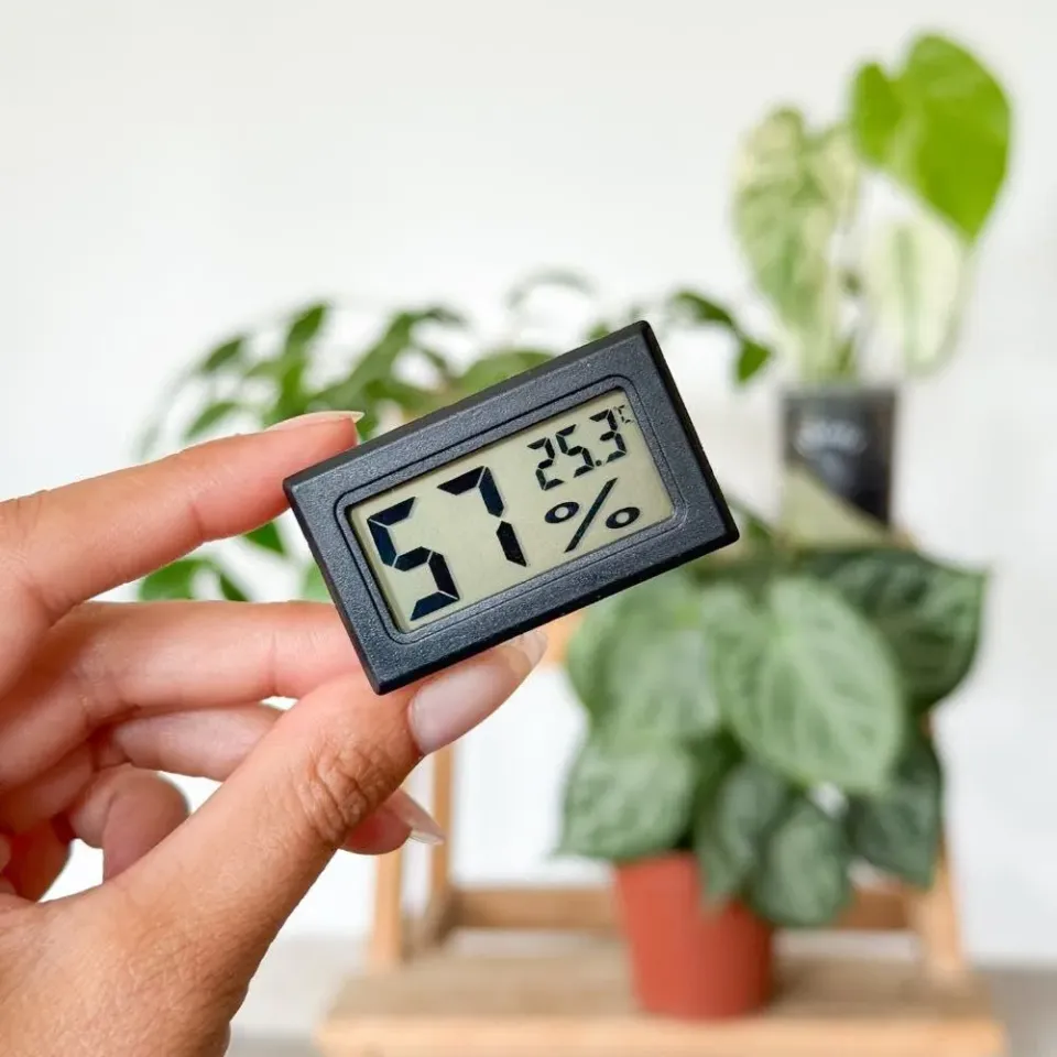 Plant and Stories Thermomètre hygromètre numérique plantes X1 compact