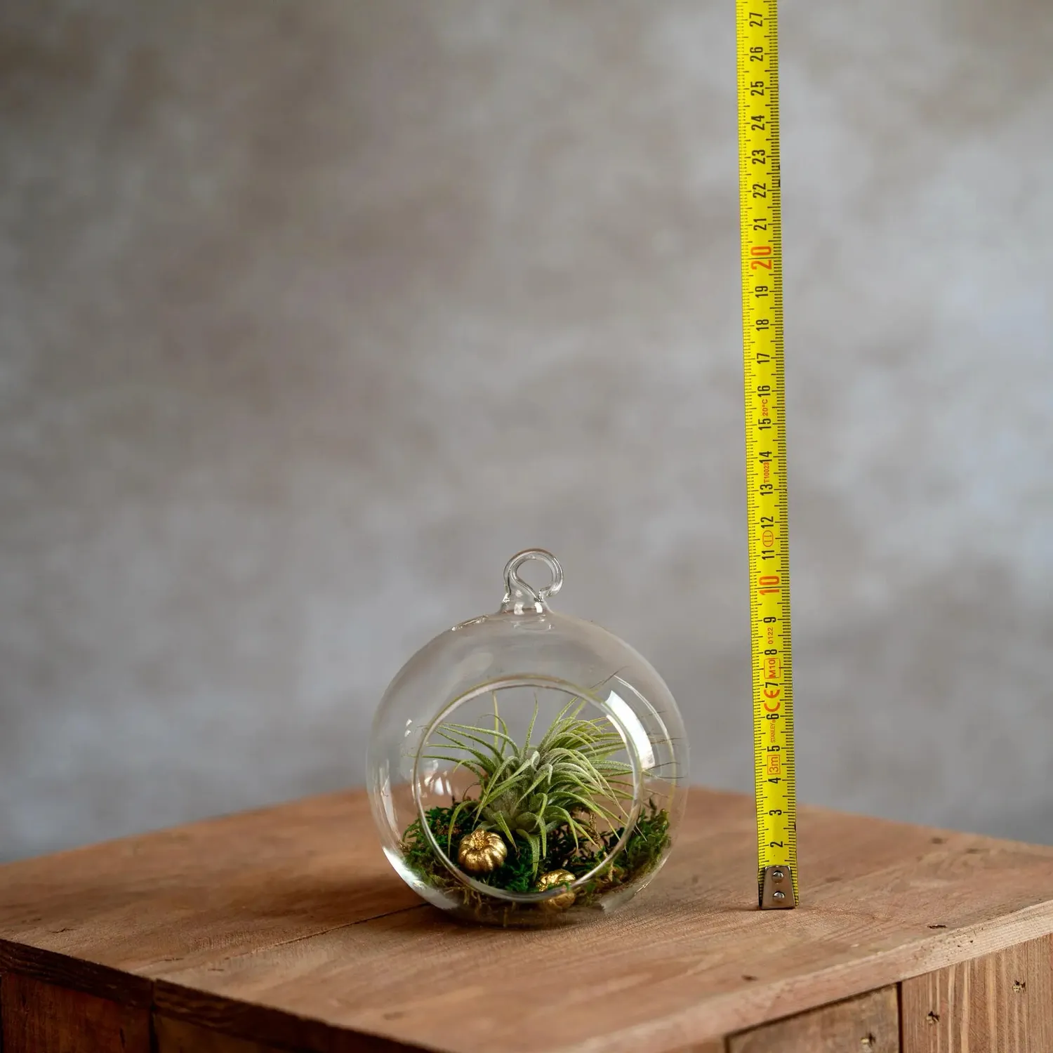 Airplantshop Glasbol boule verre 10 cm Tillandsia mousse