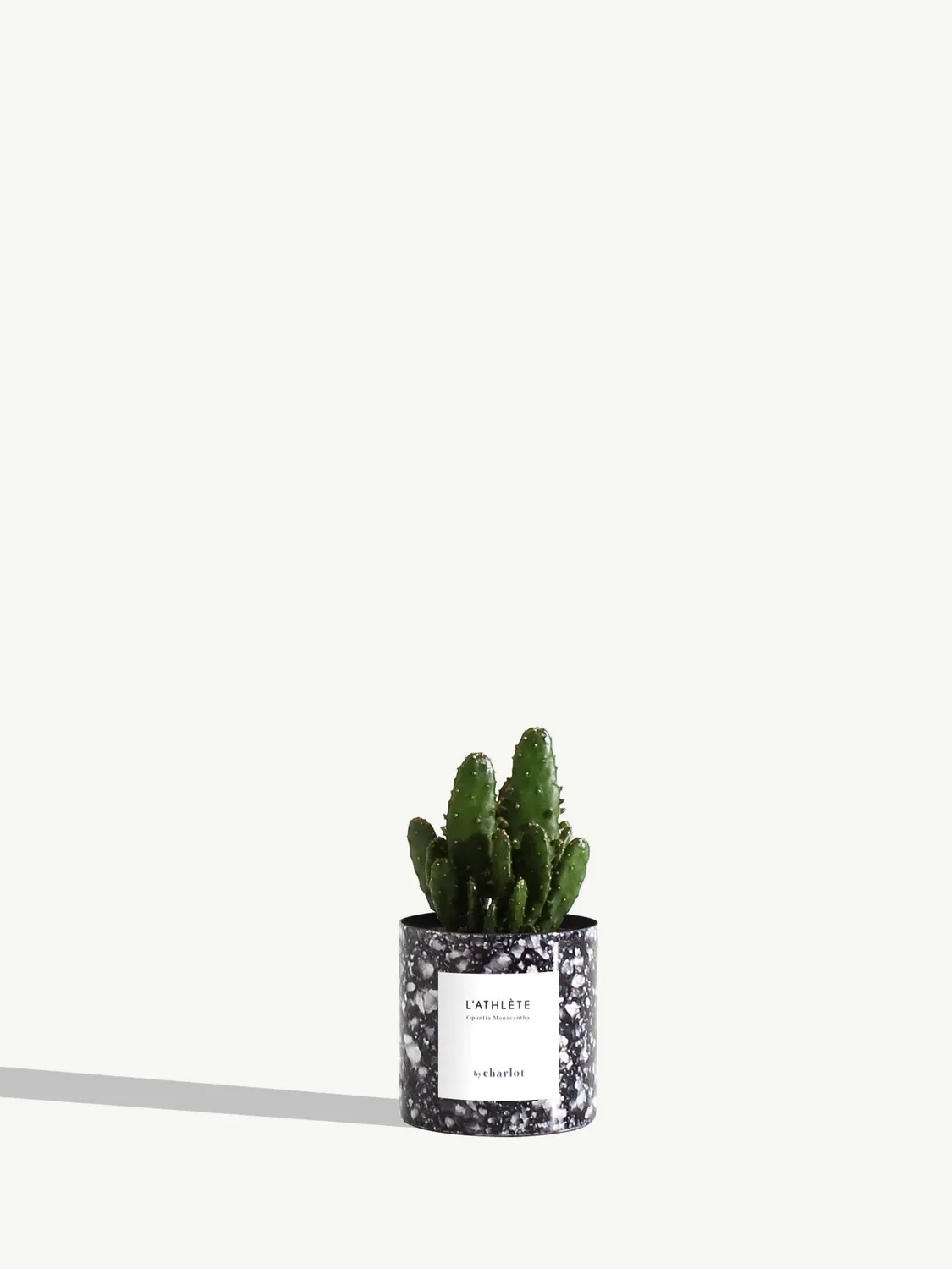 By Charlot L'Athlète mini cactus Opuntia pot XXS 6 cm