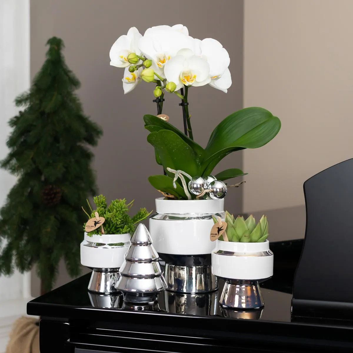 Plant and Stories Le Chic cache-pot céramique blanc 6cm argenté
