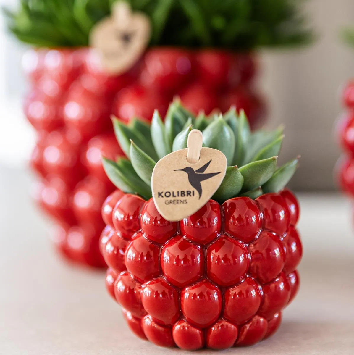Plant and Stories Cache-pot céramique rouge 12 cm plante