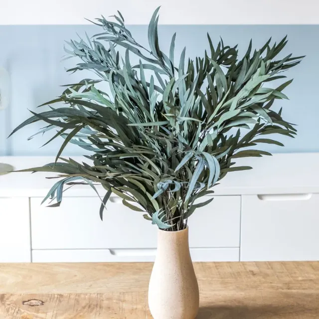 Réconciliation Végétale eucalyptus willow bouquet séché 150g vert