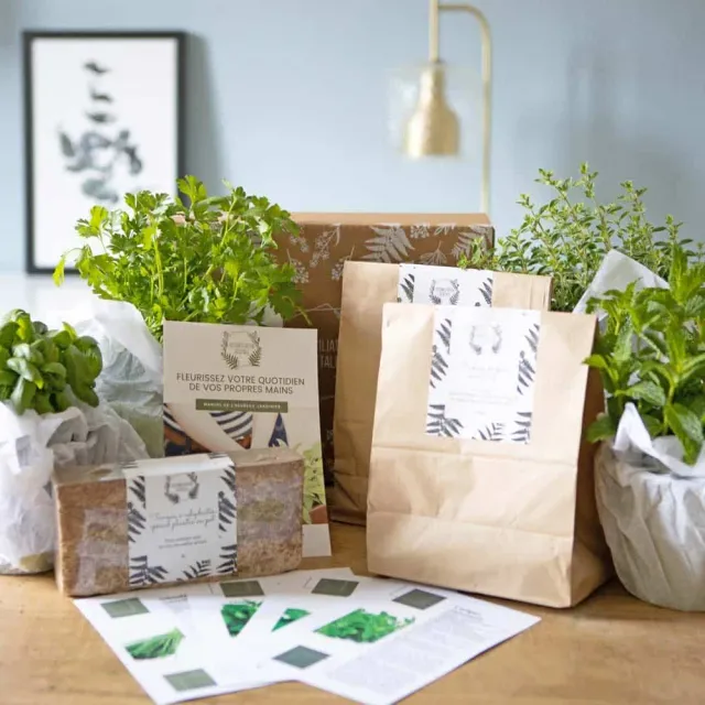 Réconciliation Végétale kit plantes aromatiques balcon 4 herbes tendres