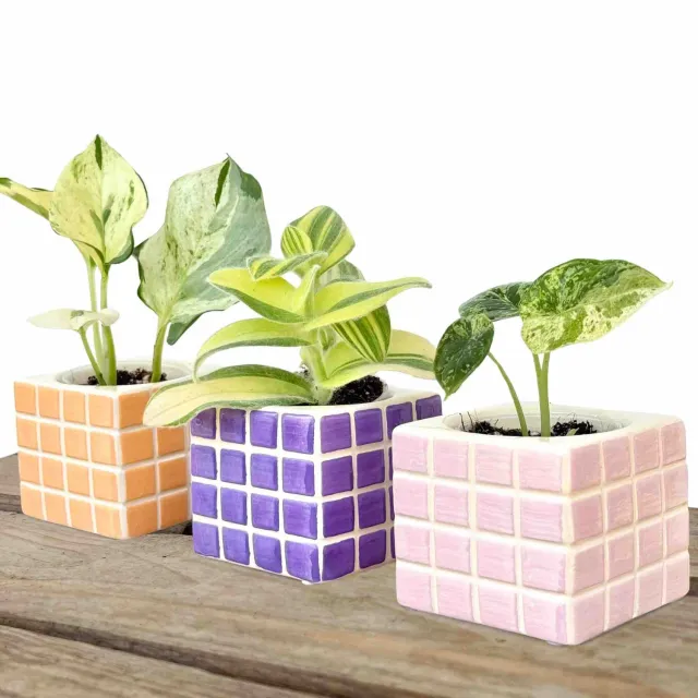 Plant and Stories Pixel cache-pot céramique abricot 6 cm