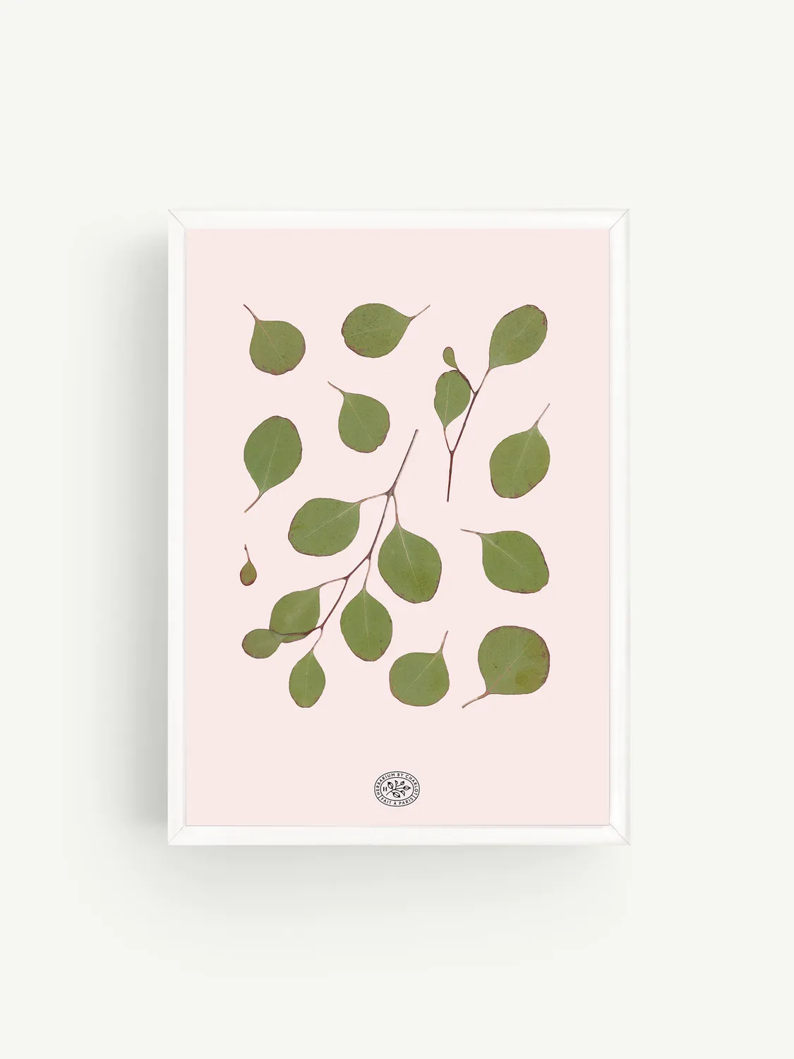 By Charlot Herbier Eucalyptus Rose tableau 21x30 rose
