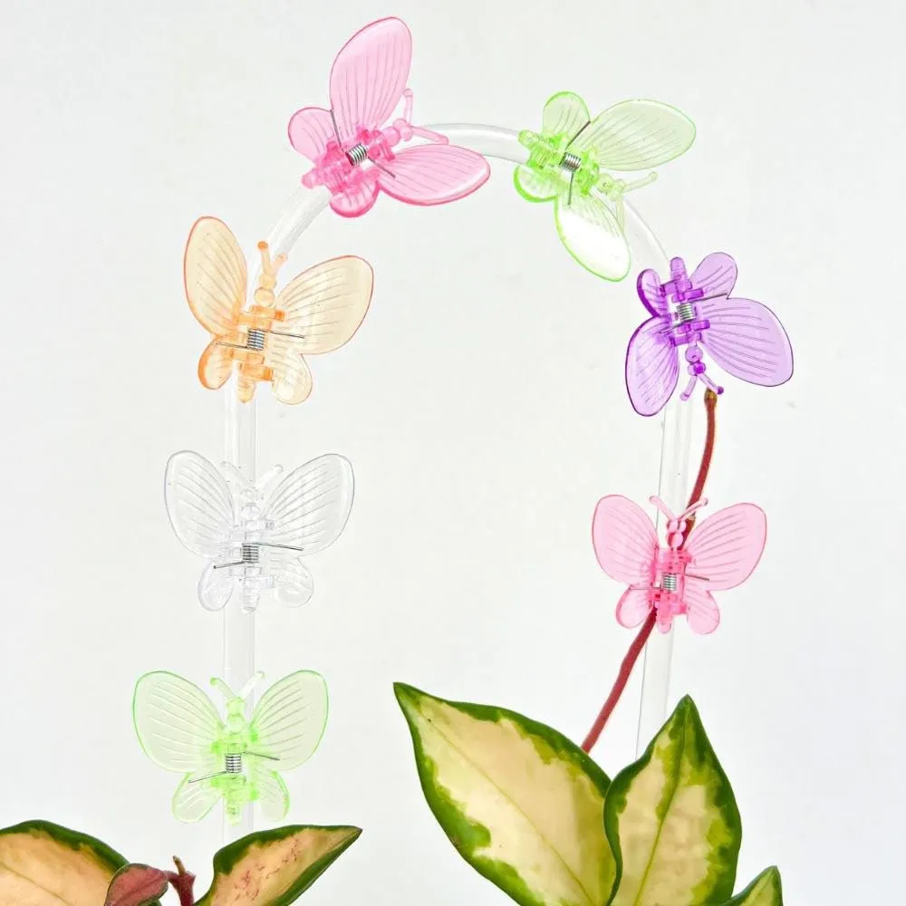 Plant and Stories pinces papillon plantes vert citron x10