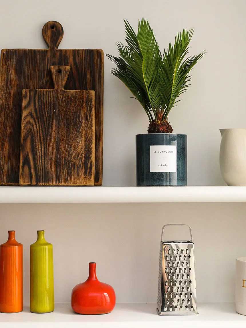 By Charlot Le Voyageur plante Cycas recharge M