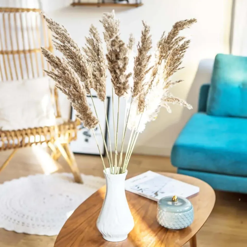 Réconciliation Végétale Plumeau de Provence botte fleurs séchées 10 tiges naturel