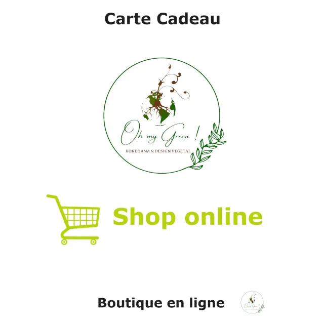 Oh My Green Carte cadeau boutique kokedama terrarium