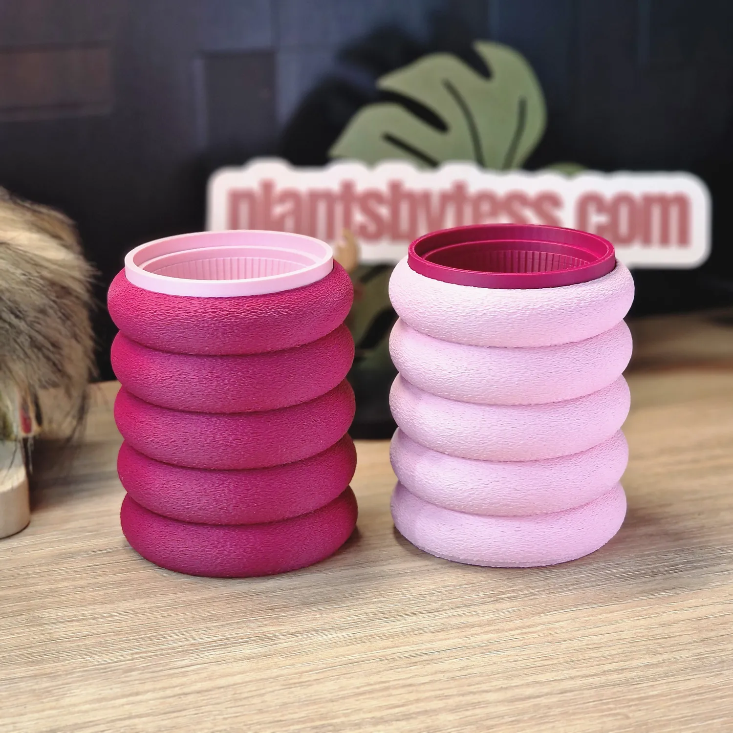 plant.ess Marshmallow Midi Sips pots auto-arrosants roses lot 2
