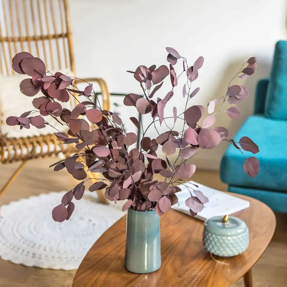 Réconciliation Végétale Eucalyptus populus botte 150g rouge