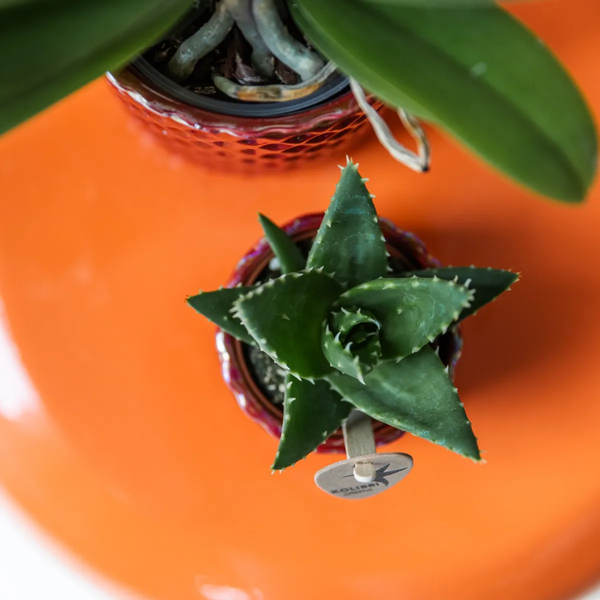 Plant and Stories Diamond Pearl cache-pot céramique 9 cm sable