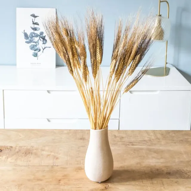 Réconciliation Végétale Blé Barbu bouquet séché 250g naturel