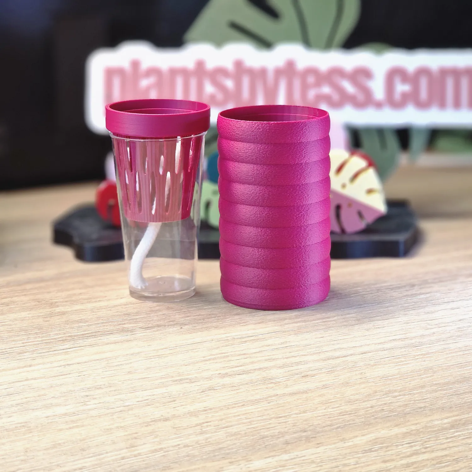 plant.ess Mini Sips set pot auto-arrosant complet 5 cm