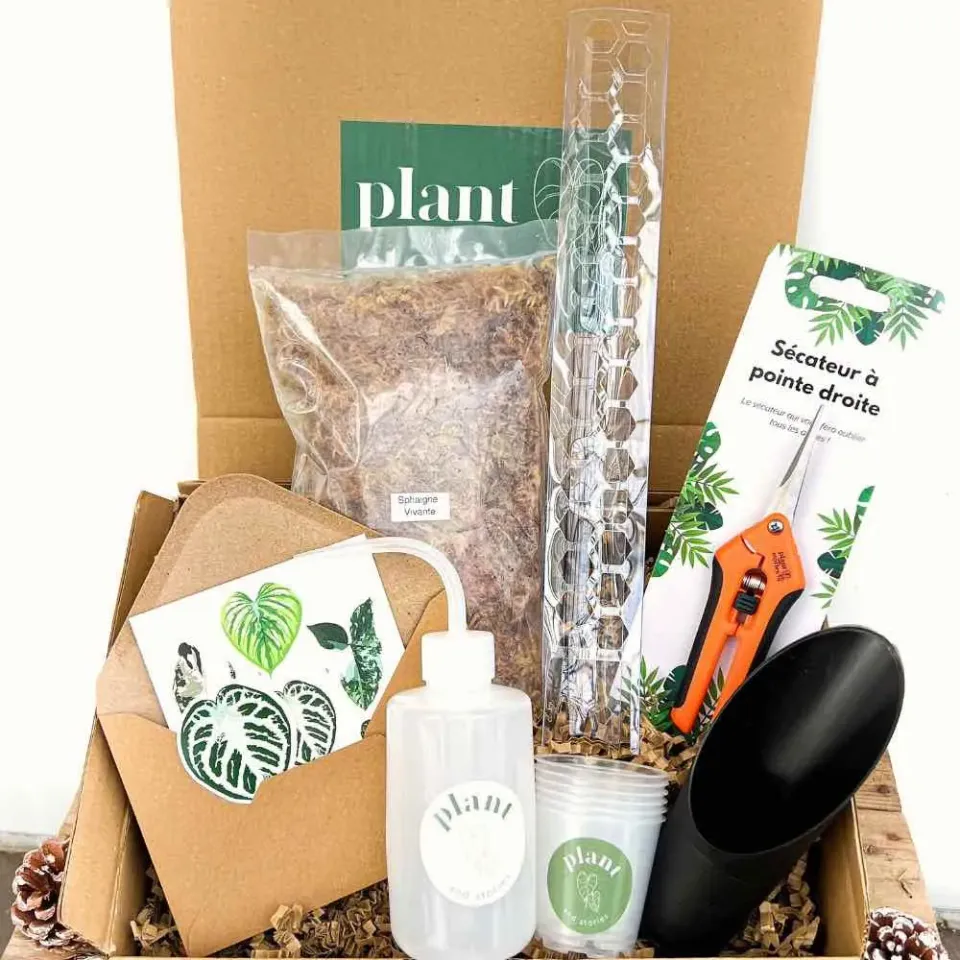 Plant and Stories Coffret Complet Bouturage Kit 8 Pièces Sphaigne