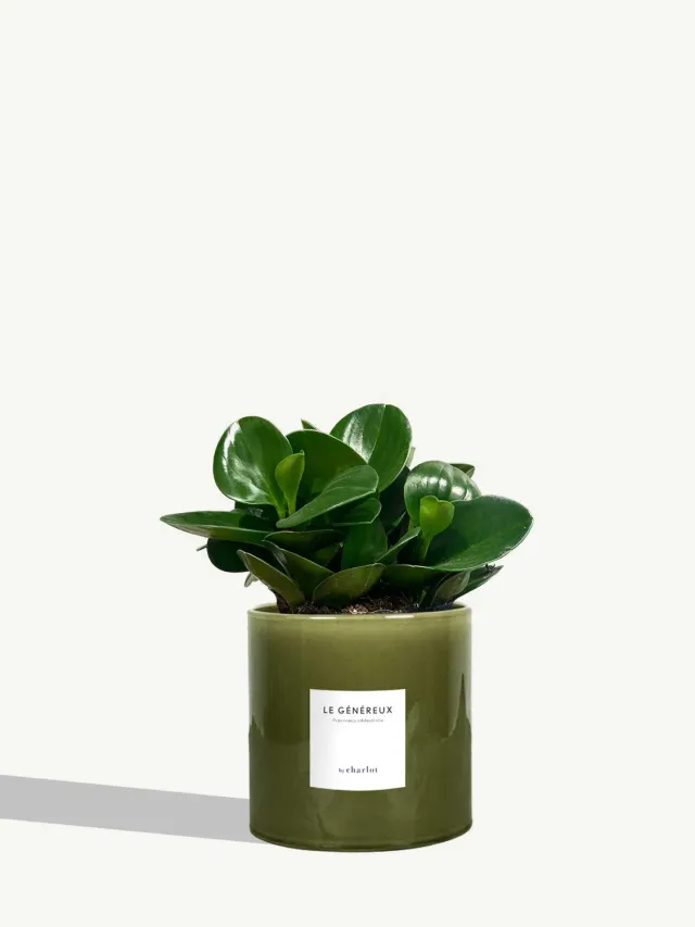 By Charlot Le Généreux Plante Céramique Vert Toscane