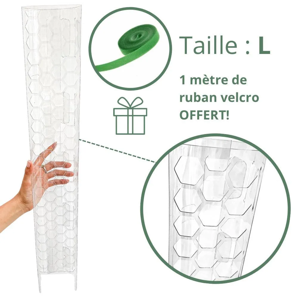 Plant and Stories tuteur transparent plantes x3 taille S