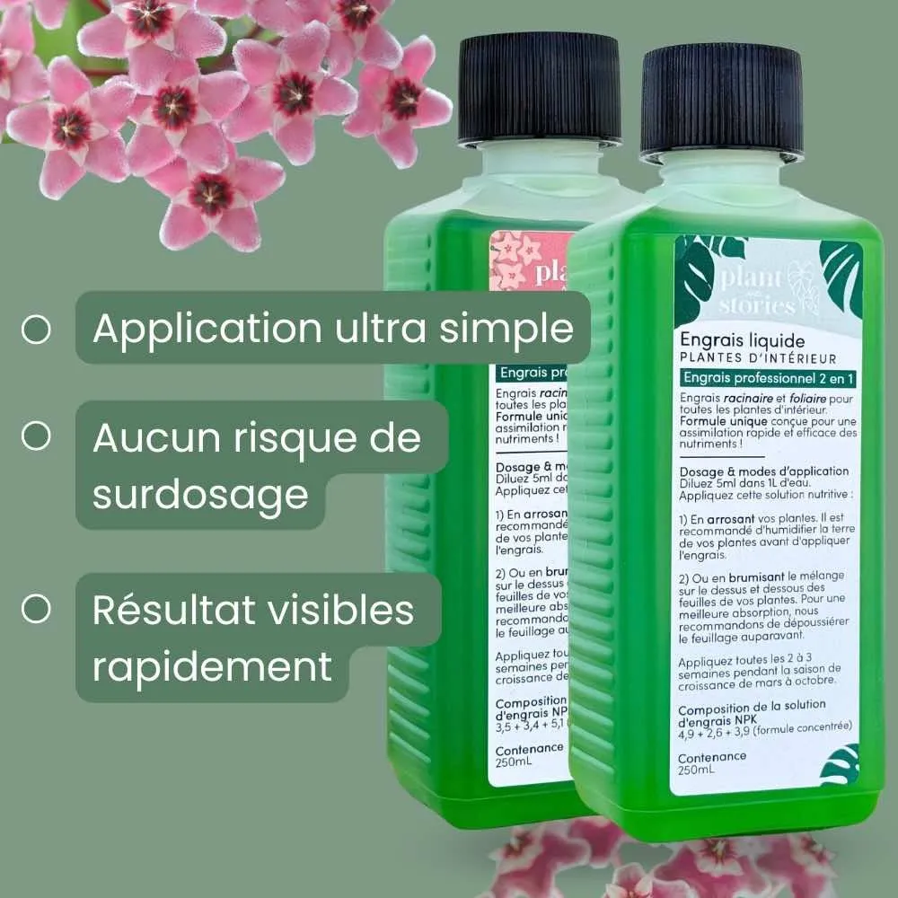 Plant and Stories Duo engrais plantes hoya 2 pipettes concentre