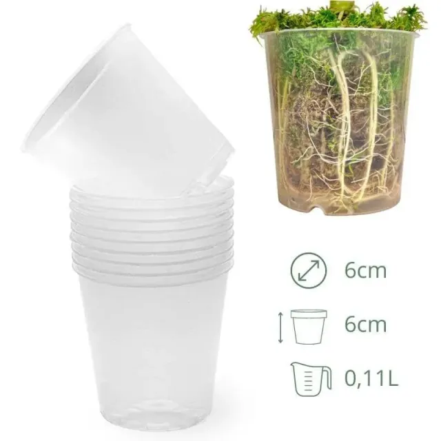 Plant and Stories Lot 10 pots transparents 12 cm