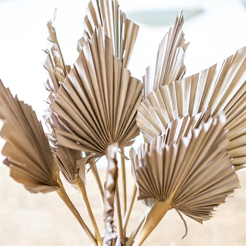 Réconciliation Végétale Palm Spear bouquet feuilles chocolat x10