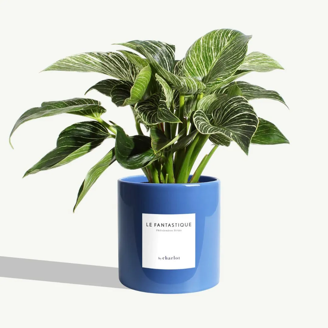 By Charlot Bleu Cyclade cache-pot céramique 14 cm