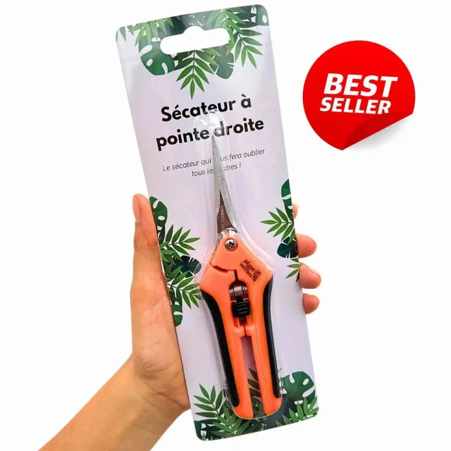 Plant and Stories sécateur pointe droite inox bouturage