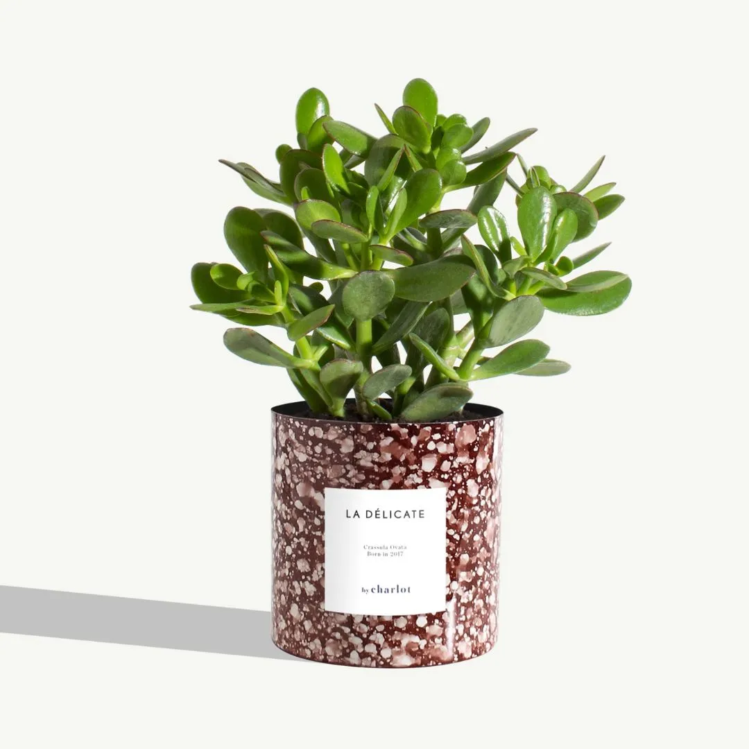 By Charlot pot cache-pot métal rouge jaspe 14 cm
