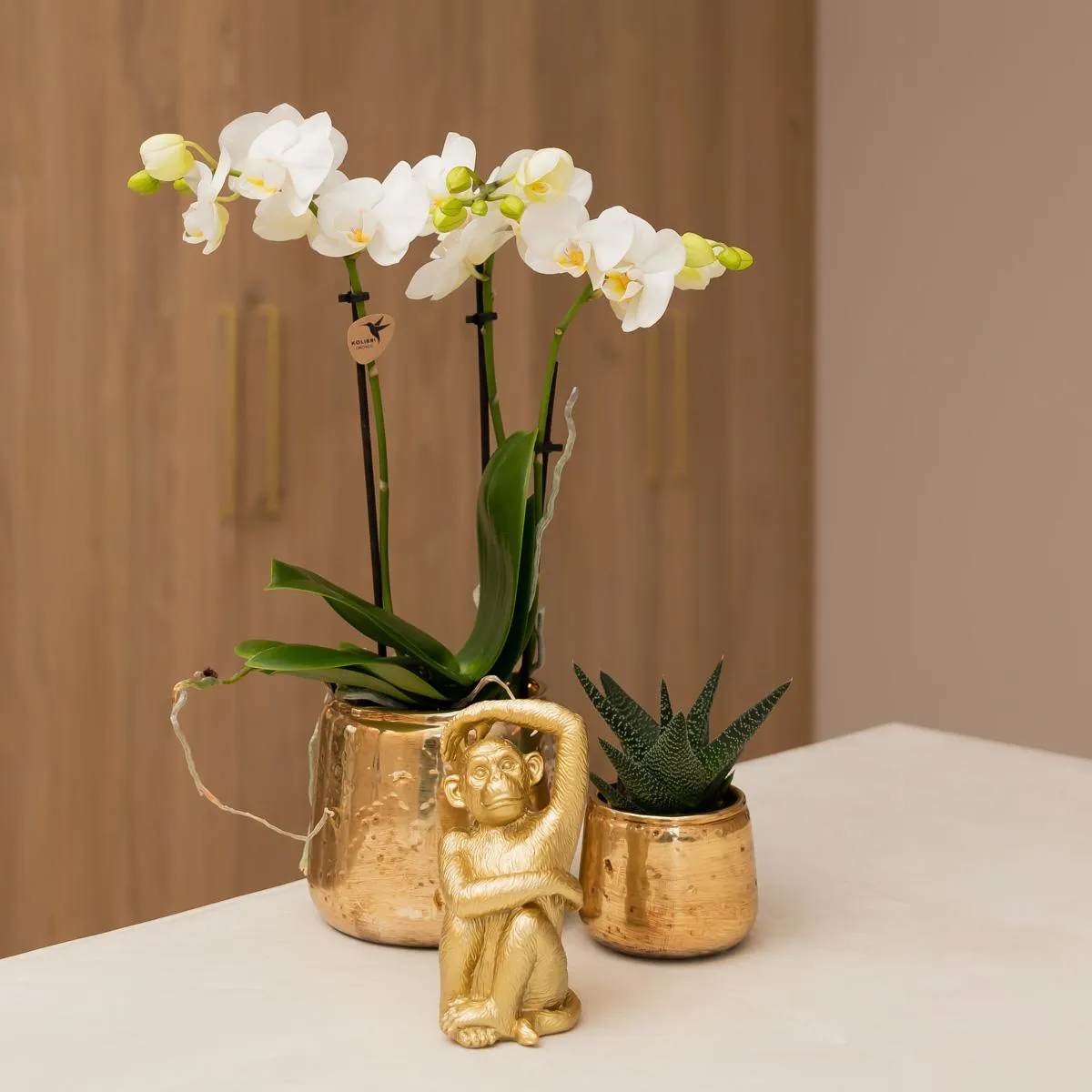 Plant and Stories Luxury cache-pot céramique 6 cm doré