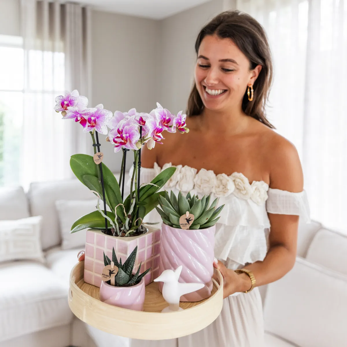 Plant and Stories Phalaenopsis Rotterdam orchidée rose pot 9 cm