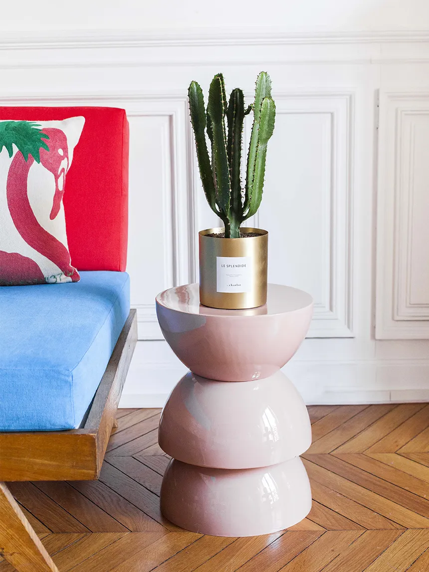 By Charlot Le Splendide plante euphorbe 28-32 cm