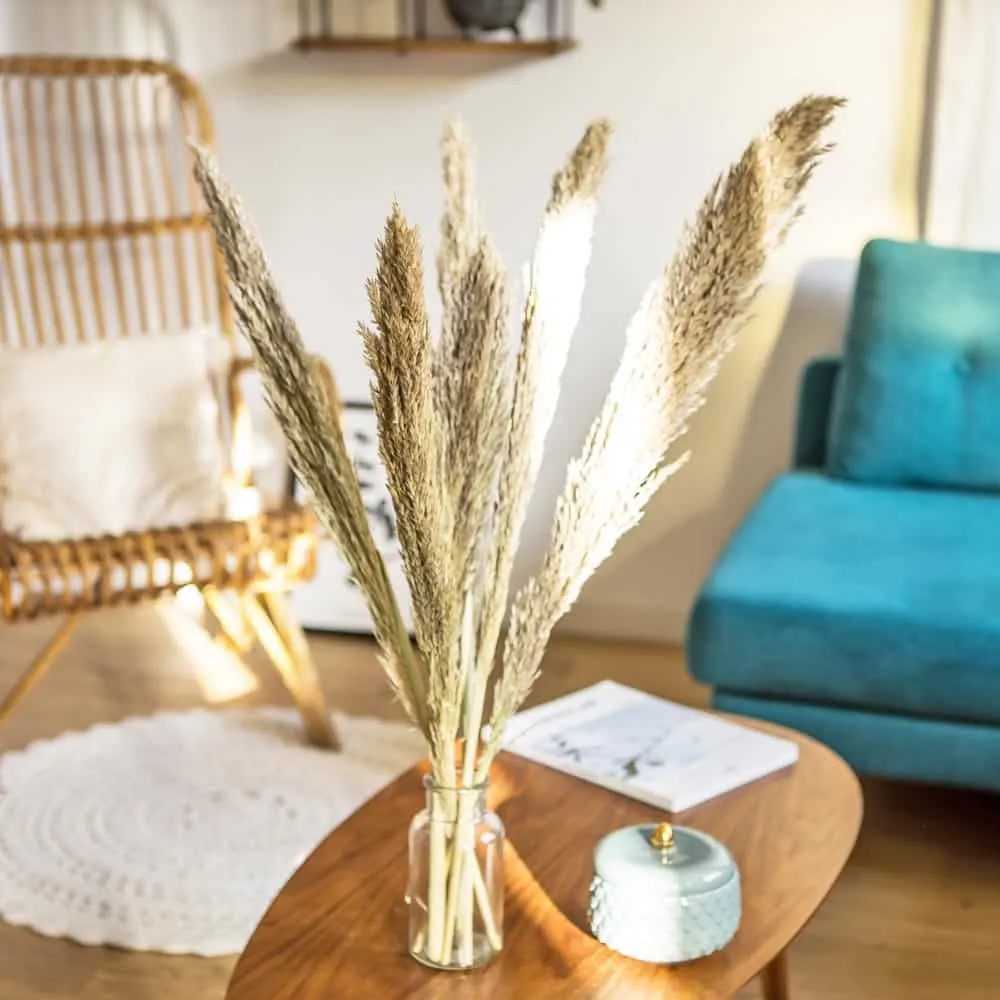 Réconciliation Végétale miscanthus botte fleurs séchées naturel 6 tiges