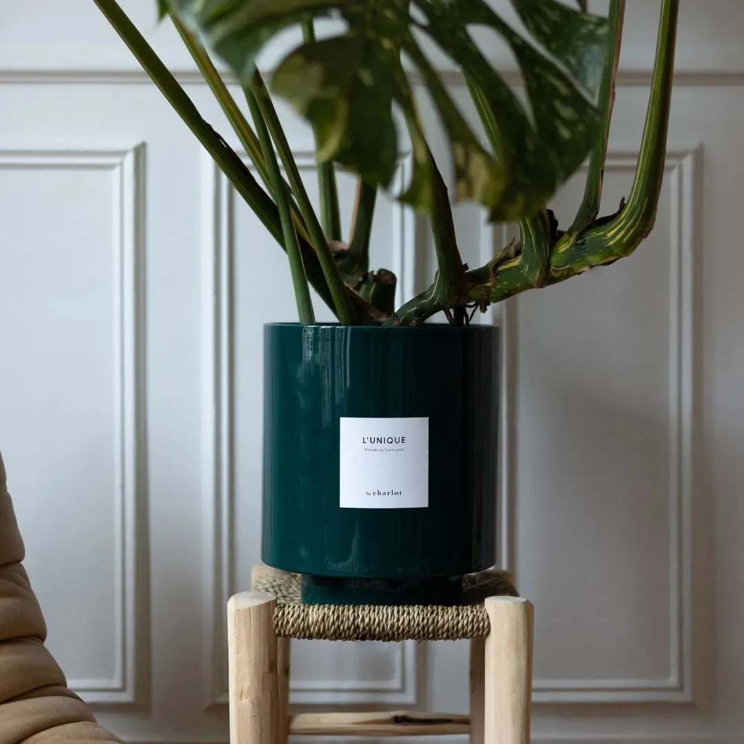 By Charlot cache-pot céramique vert forêt 24 cm XL