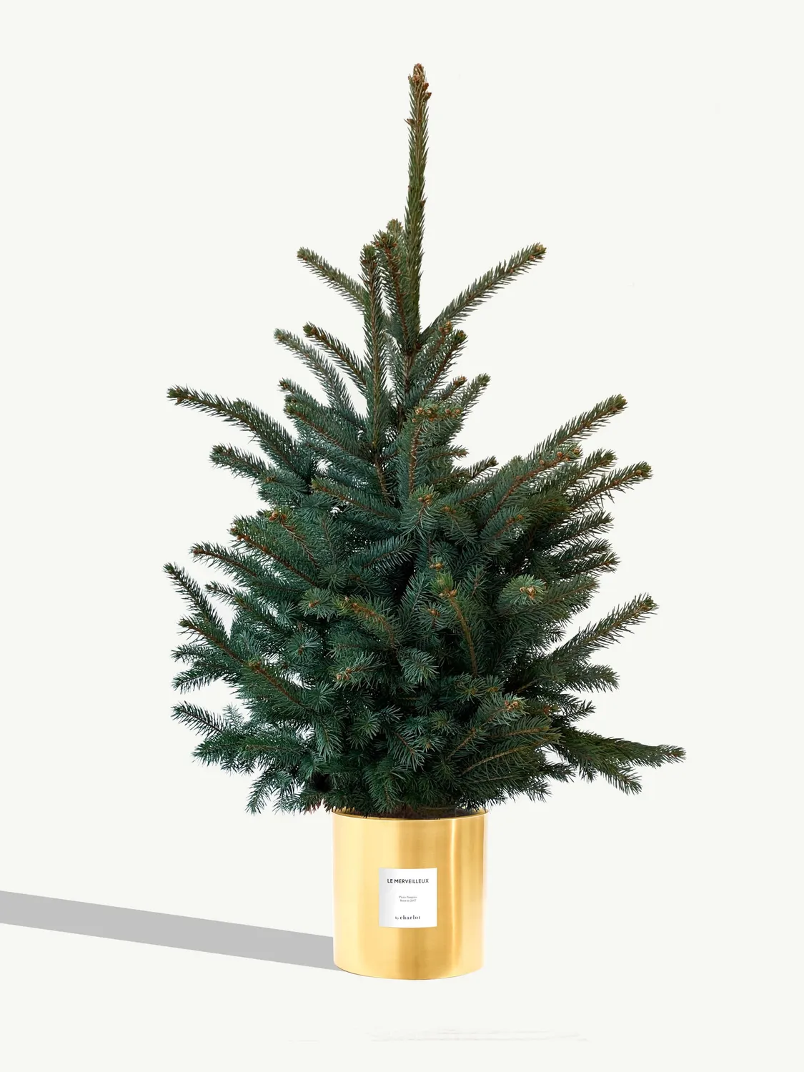 By Charlot Le Merveilleux sapin 120 cm pot 24 cm coffret
