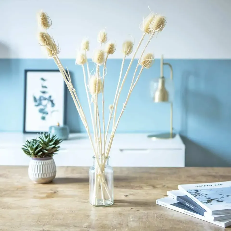 Réconciliation Végétale botte fleurs séchées chardons blancs 80 g