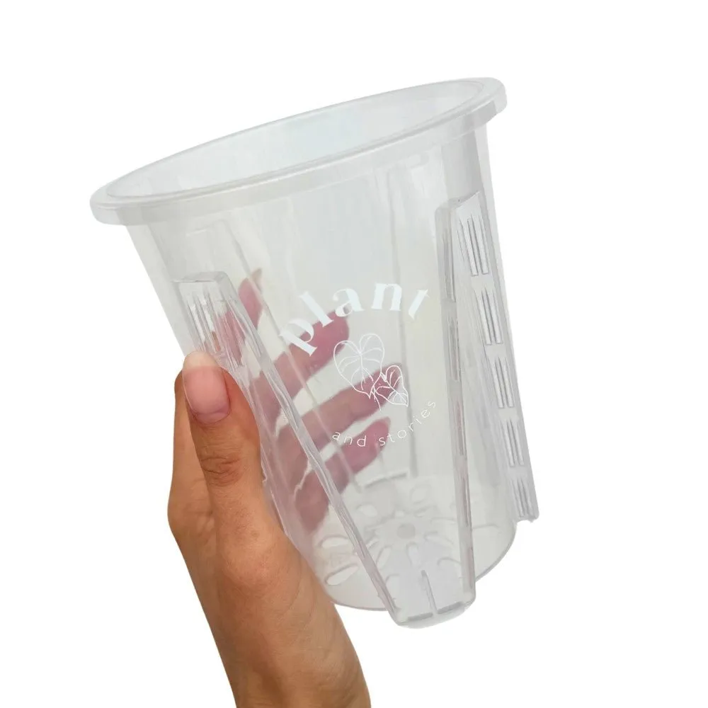 Plant and Stories Pot Aracées Transparent pot culture 10cm drainant