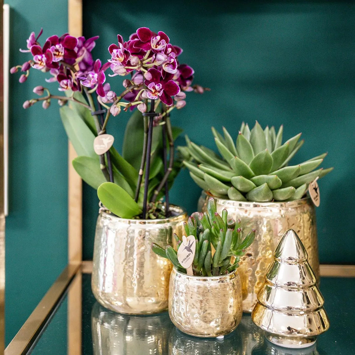 Plant and Stories Luxury cache-pot céramique 6 cm doré