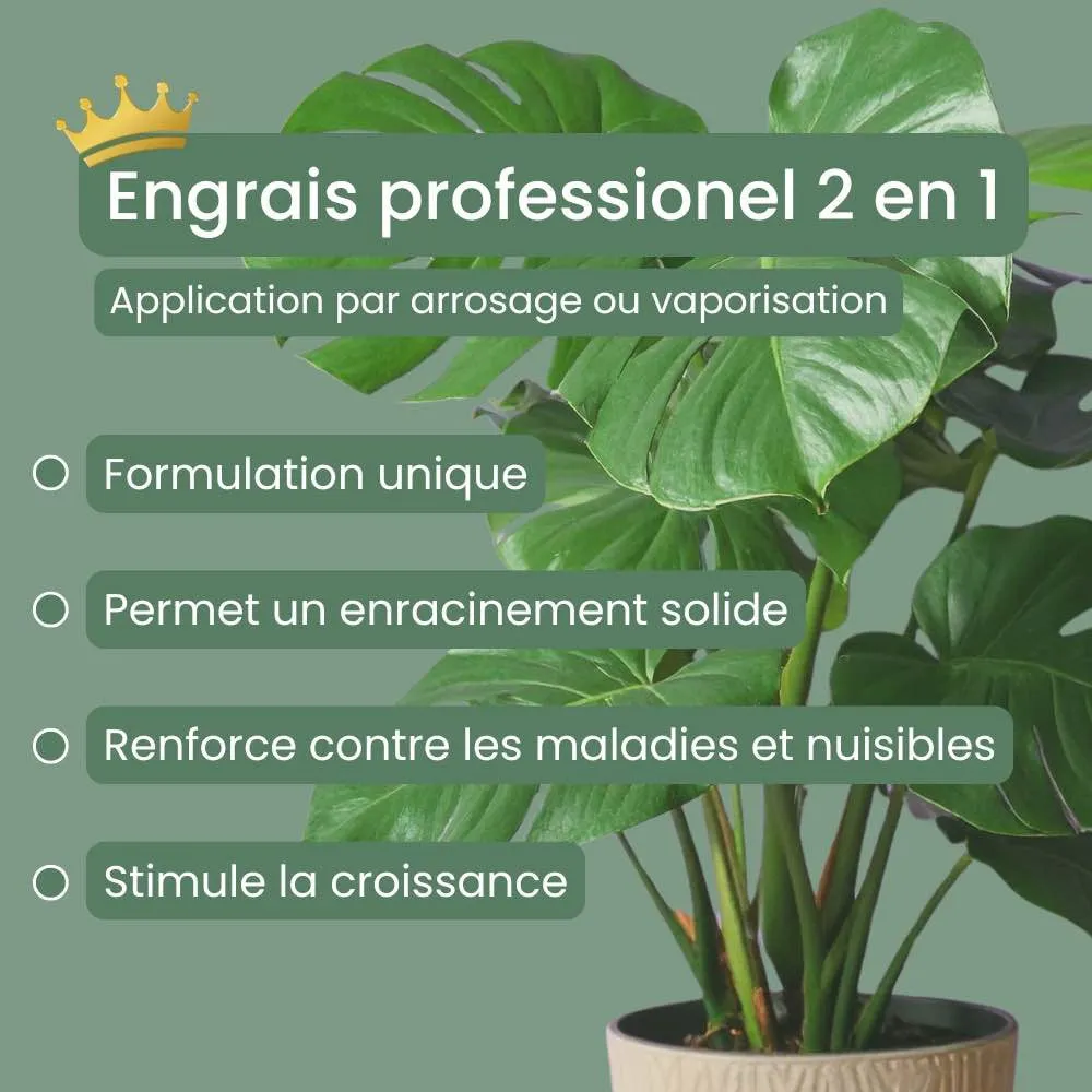 Plant and Stories engrais liquide plantes intérieur 250ml