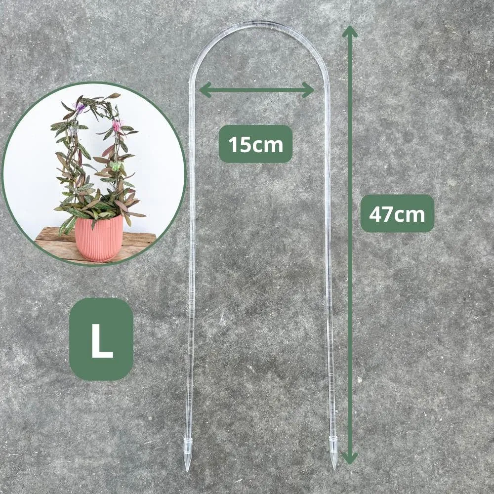Plant and Stories Hoya tuteur arche acrylique transparent taille S