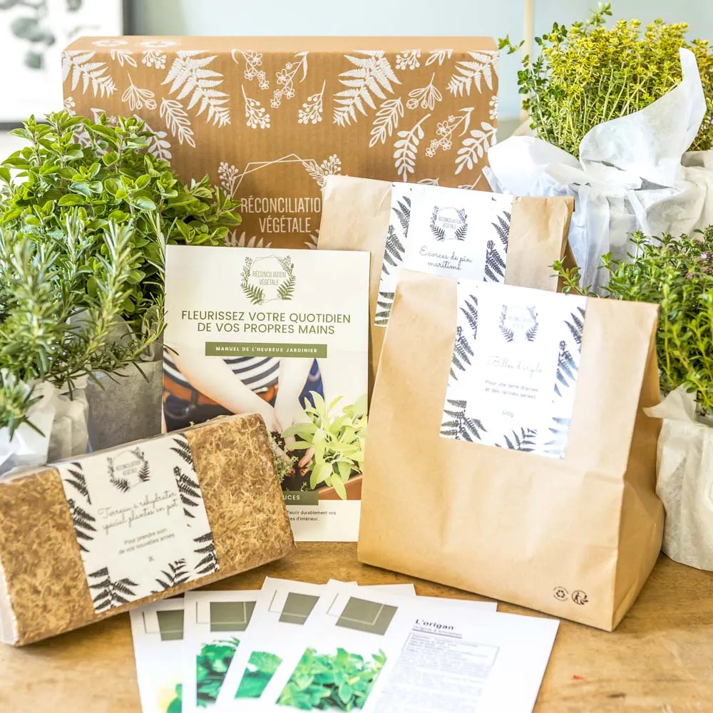 Réconciliation Végétale kit plantes aromatiques balcon 4 herbes tendres