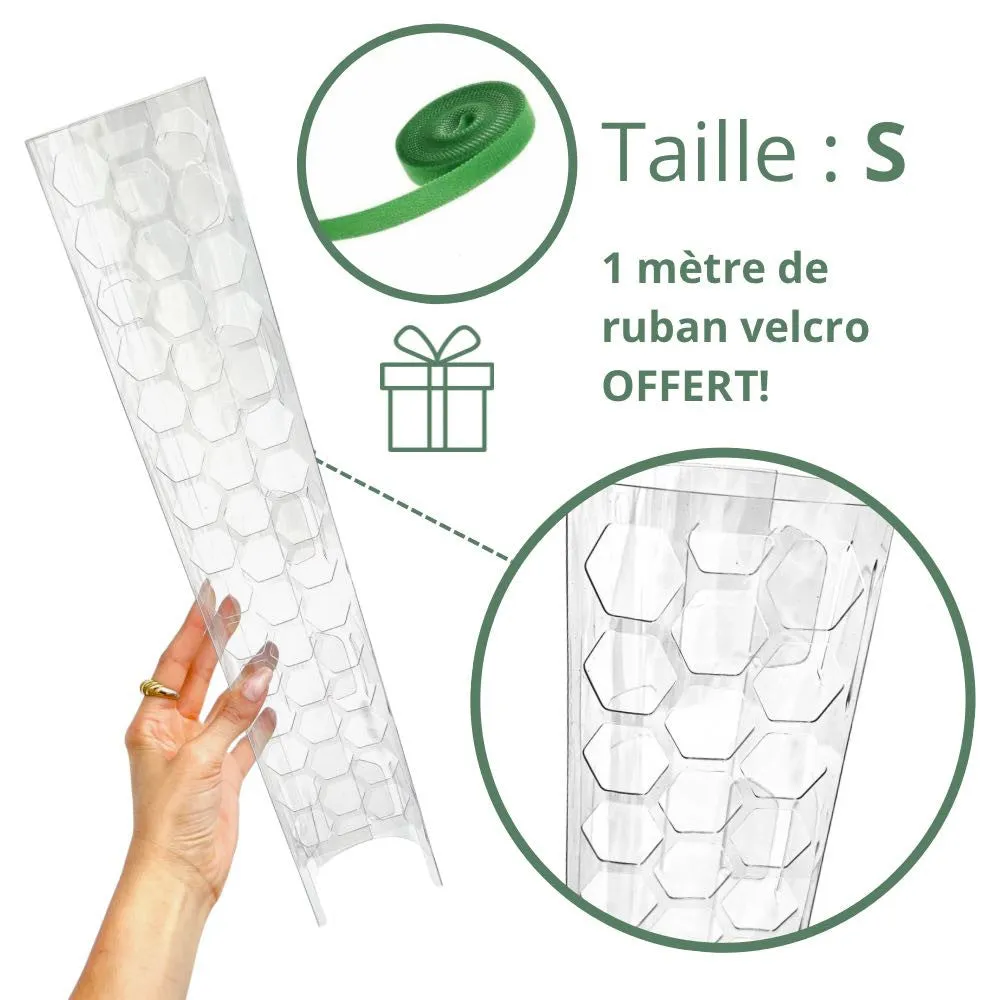 Plant and Stories tuteur transparent plantes x3 taille S