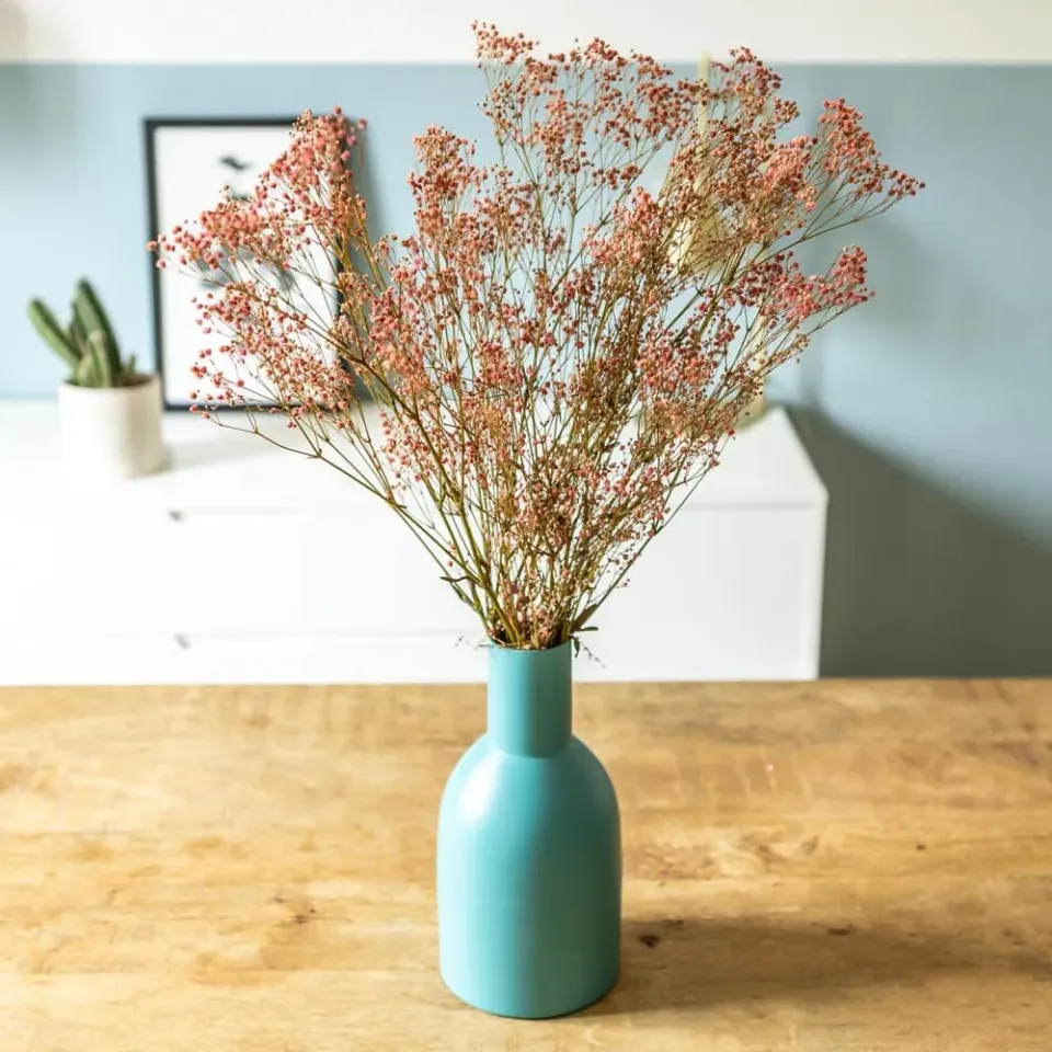 Réconciliation Végétale Gypsophile bouquet fleurs séchées 100g rose