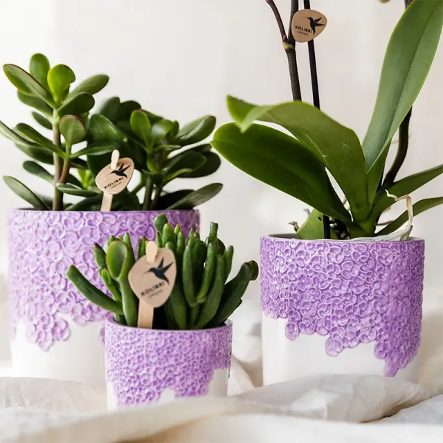 Plant and Stories Bloompot cache-pot céramique sable 9 cm