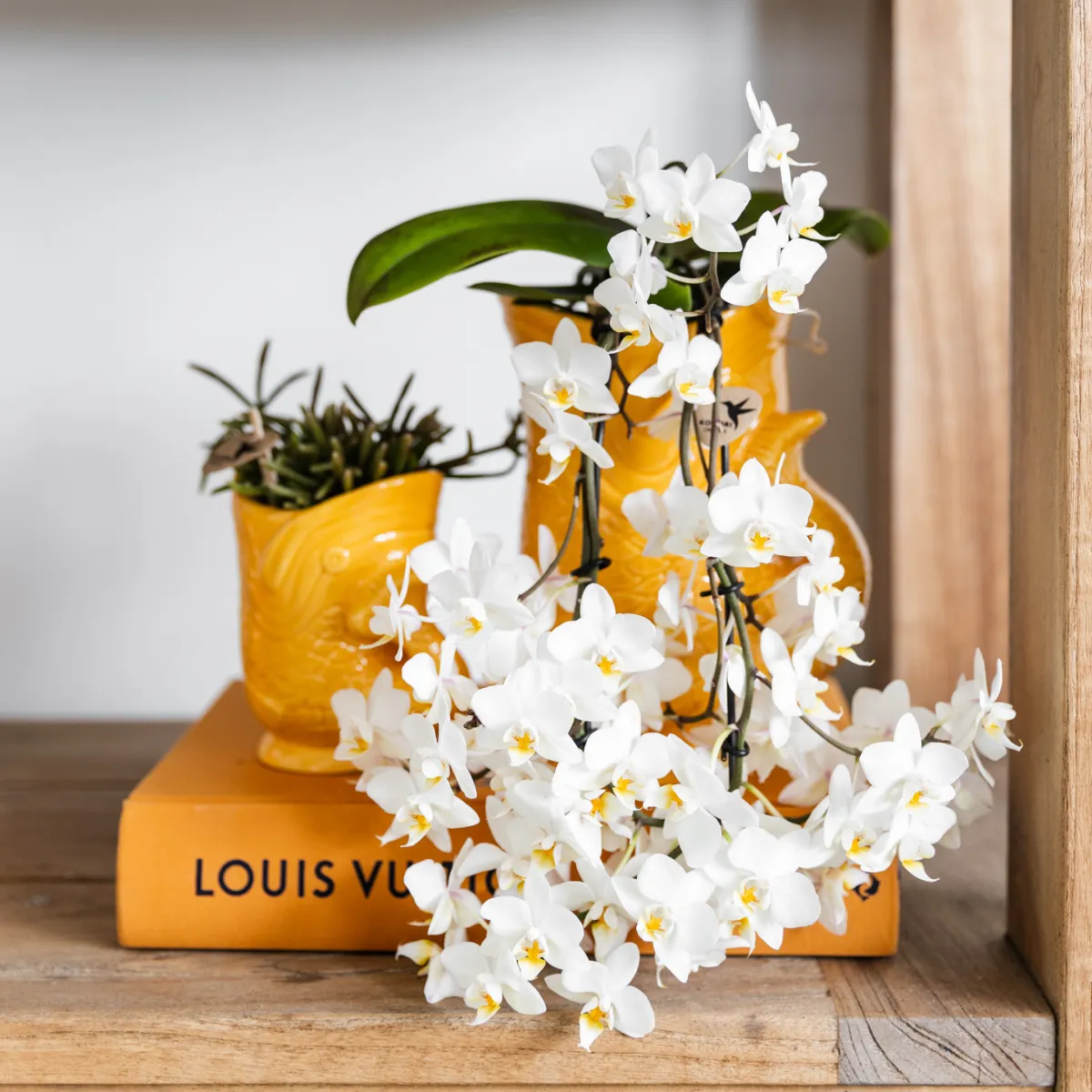 Plant and Stories cache-pot poisson céramique 6 cm jaune