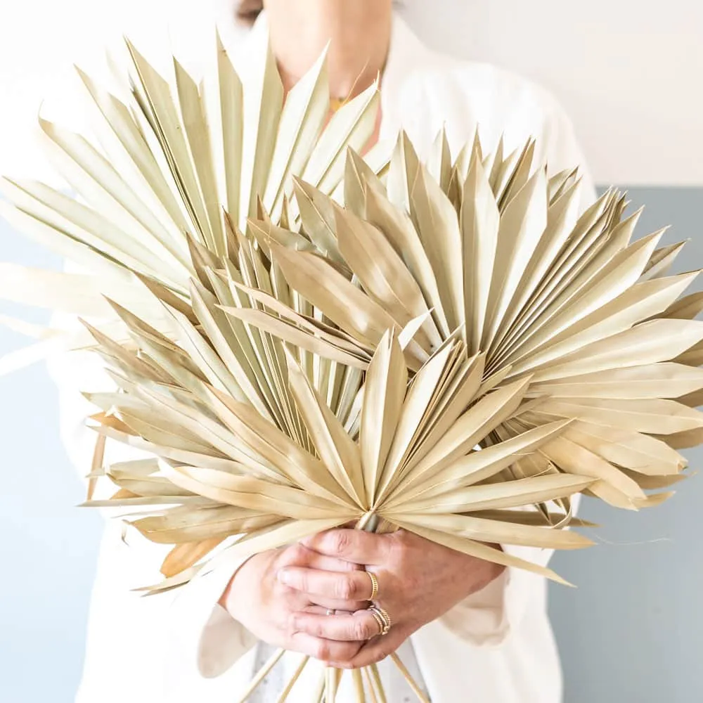 Réconciliation Végétale Palm Sun botte fleurs séchées 5 tiges naturel