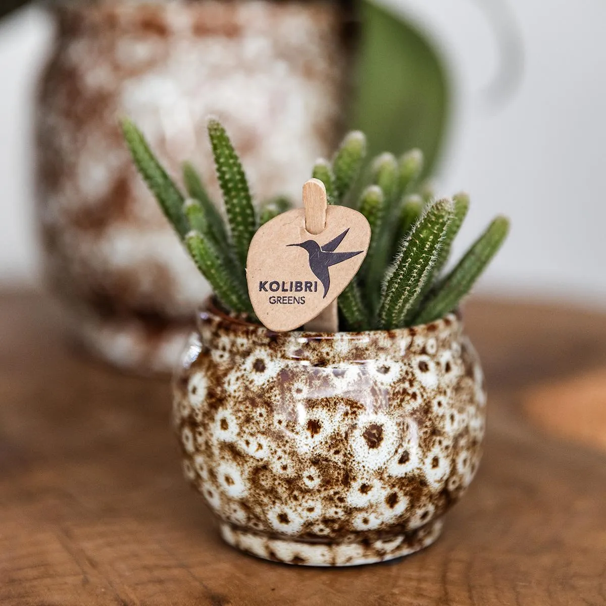 Plant and Stories Safari cache-pot céramique 12 cm fait main