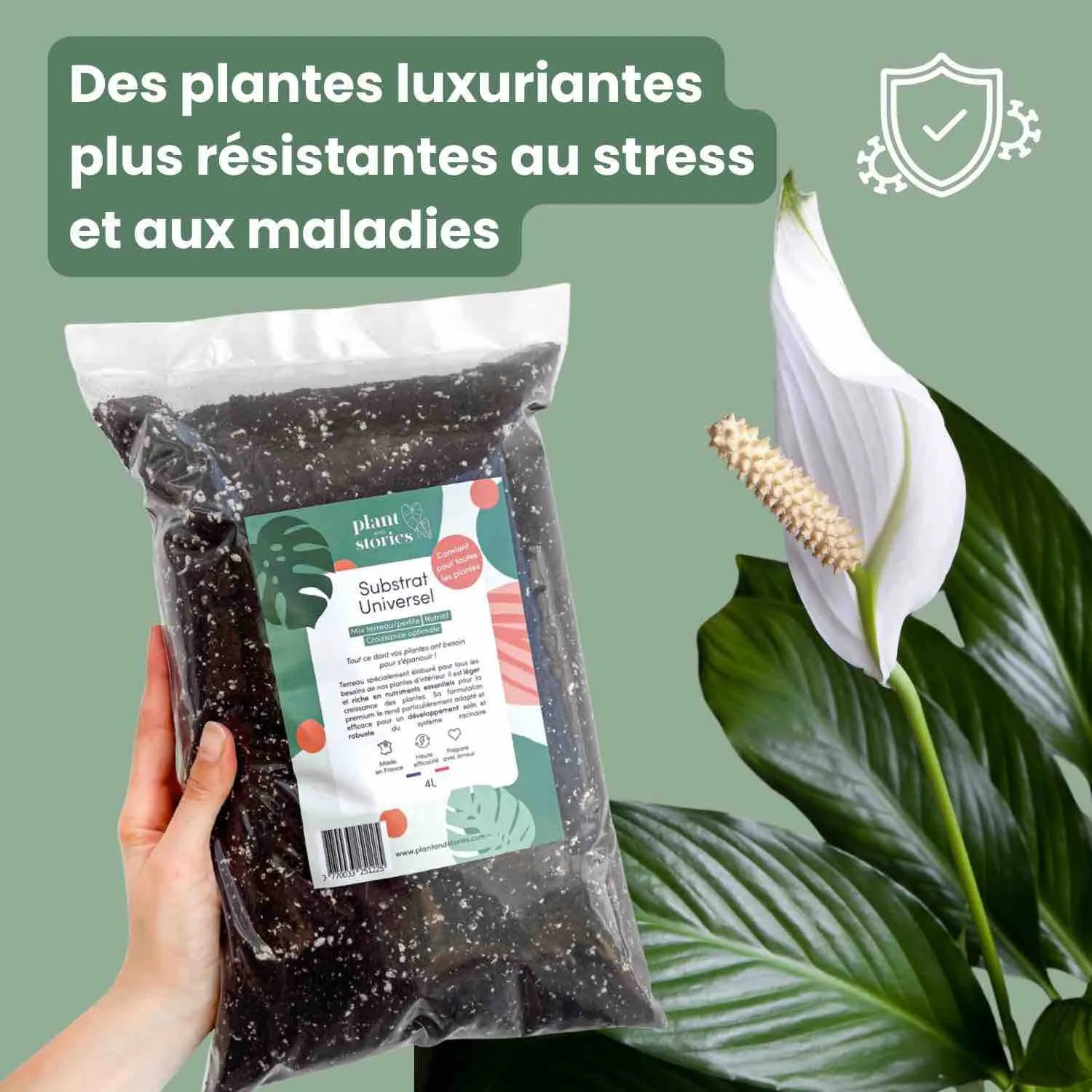 Plant and Stories Substrat Universel terreau 4L mycorhize