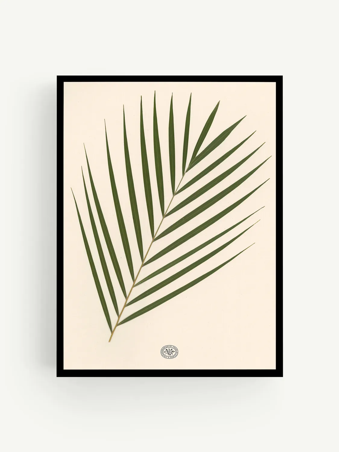 By Charlot herbier Palmier fond beige 30x40